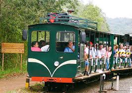 tren ecologico