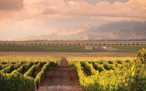La morada de los Andes