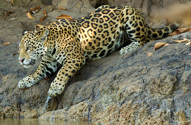 proyecto_impenetrable_3