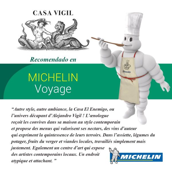 Guìa-Michelin-en-francès-600x600