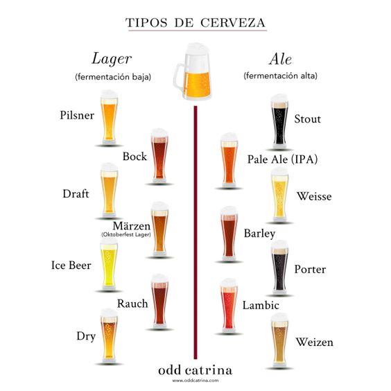 Tipos cerveza