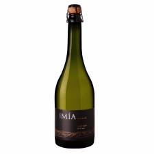 espumante-pampa-mia-blanc-de-noir-san-telmo-D_NQ_NP_530625-MLA25453358211_032017-F