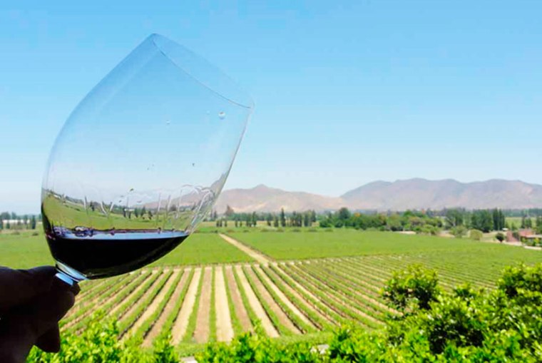 descubriendo-vinos-argentinos-2