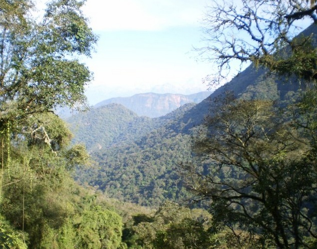 parque-nacional-calilegua
